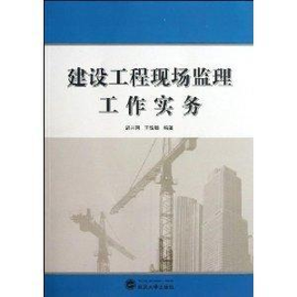 建设工程现场监理工作实务——水运工程监理